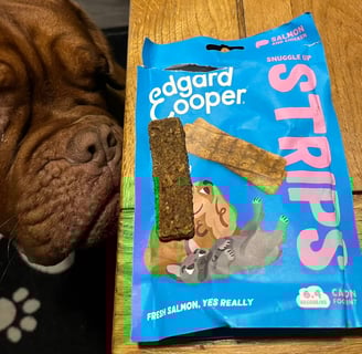A Close up of Ember sniffing the Snuggle up Strips in Salmon & Chicken flavour