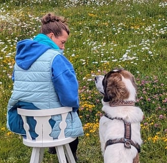 coaching mit Hund und BesitzerIn Gespräch