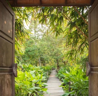 une porte ouverte sur la nature  qui invite à la sérénité, la paix intérieure et  l'harmonie