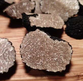 une truffe d'automne (tuber uncinatum)