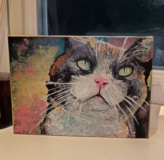 A painting of a cat, pet portrait