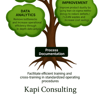 Continuous improvement, data analytics and automation are utilised at Kapi Consulting