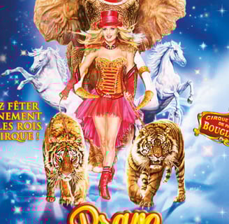 affiche Cirque d'Hiver Bouglione On Tour, spectacle Bravo