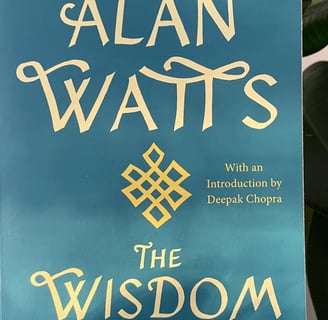 a book cover of the wisdom of insecurity
