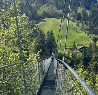 Looking down Hangebrucke Hostalde outside of Frutigen