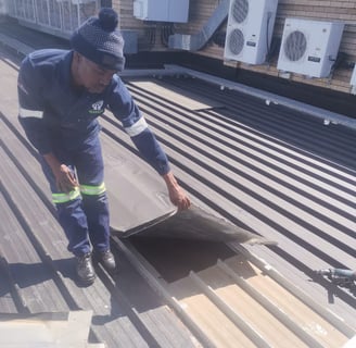 IBR roof inspection West Rand