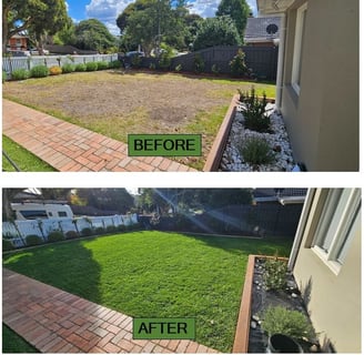 Garden renovation, Landscaping completely newly laid buffalo lawn before & after
