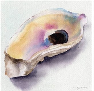 watercolor painting of an oyster shell