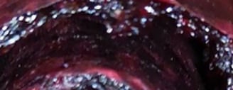 Dehydrated, rolled up deep purple fruit