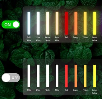 Neon lights with colored LEDs and colored casing, showing on/off states.