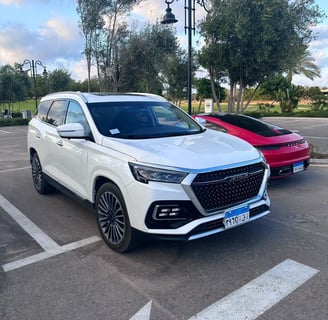 Premium tourist transport featuring a white SUV and a red sports car