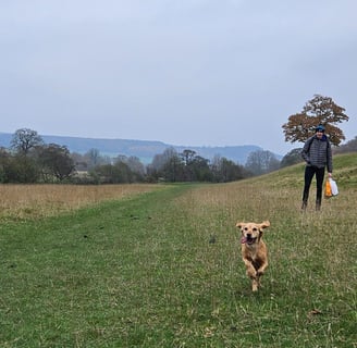 Chatsworth House Walk