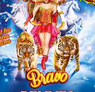 affiche Cirque d'Hiver Bouglione On Tour, spectacle Bravo