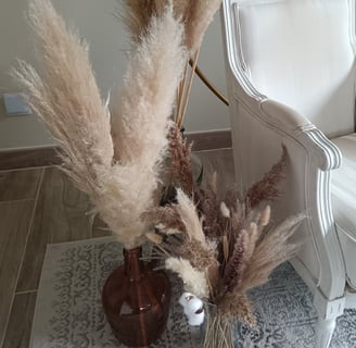 tiges de pampas