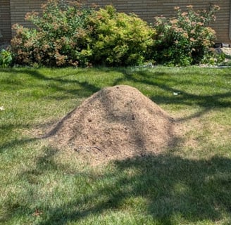 stump grinding debris