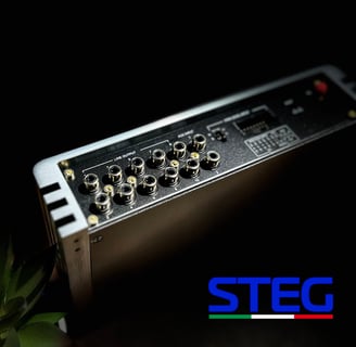 STEG MDSP 10ii
