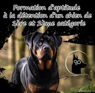 Formation chien catégorisé calvados