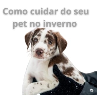 Guia Completo de Cuidados com Animais de Estimação no Inverno + Banhos a Seco