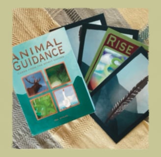 Animal Guidance oracle cards