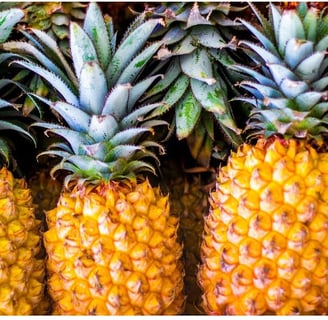 Abacaxi: Benefícios para a Saúde, Vitaminas, Tipos e Como Consumir da Melhor Forma