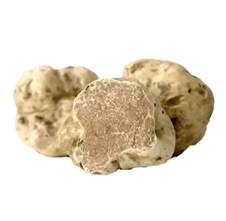 TARTUFO BIANCO PREGIATO