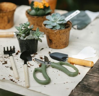 Houseplant tools with pruning shears