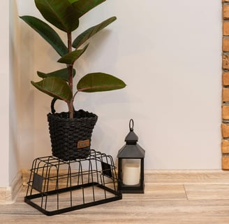 ficus elastica su vaso intrecciato con a fianco una lanterna