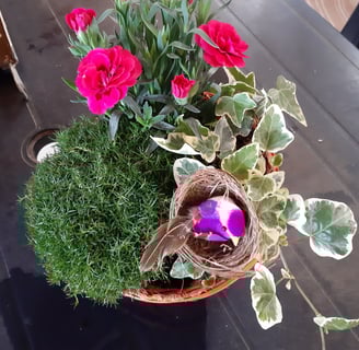 Flower with pink petals