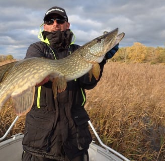 un pêcheur tient un gros brochet en suede