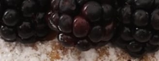 NEttle cake topped with blackberries and rosemary sprigs