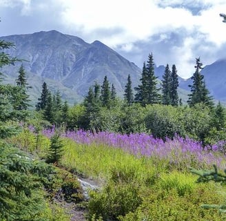 Anchorage, AK - The beauty & pristine wildernesses of Denali National Park