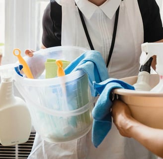 maid-service-cleaning-supplies