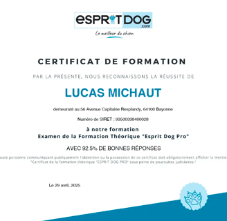 Diplome éducateur canin esprit dog Bayonne Anglet Biarritz