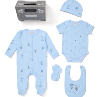 Organic cotton 6 piece unisex baby sleepsuit gift set