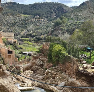 Naturaleza Letur