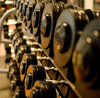 a row of dumb dumbblebells in a gym