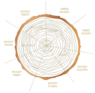 Diagram of KAYANA Smell Spectrum