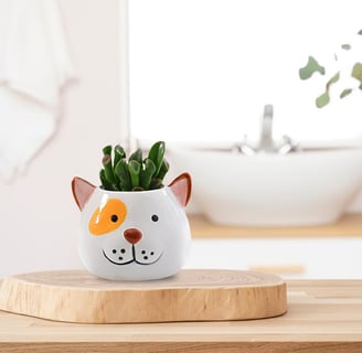 Dog shape ceramic pot