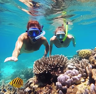 snorkeling in punta cana