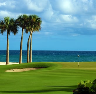 Oceanfront golf hole with palm trees and blue sea in the Dominican Republic