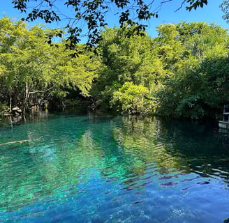 cenote lagoon in punta cana