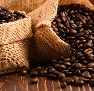 Fresh roasted Dominican coffee beans in burlap sacks on wooden table