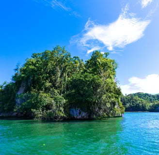 los haitises national park dominican republic
