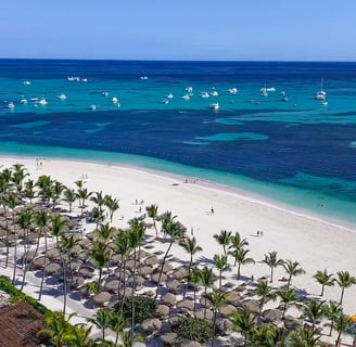 a beach with palm trees and a view of the ocean