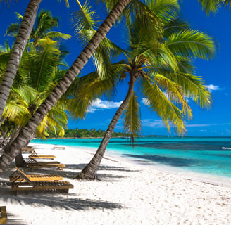 saona island