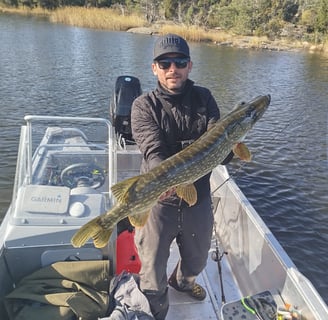 a fisherman is on a fishing boat in sweden with a pike, a boat  from fishing escape sweden. 