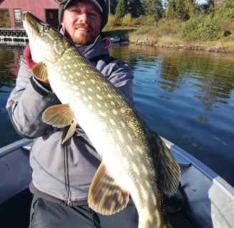 with fishing escape sweden a fisherman holds a big pike. he is on a boat, there is a swedish house.