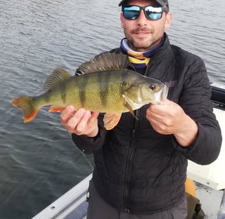 Ein Fischer hat gerade in Schweden einen Barsch gefangen, er steht auf einem Boot, es ist Schilf.