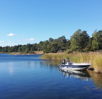 il y a un beau bateau de pêche sur un lac en suède , il y a du soleil, une foret et des roseaux.