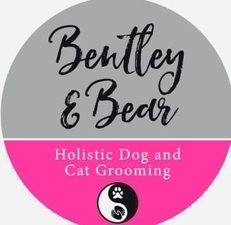 Bentley & Bear Groomers